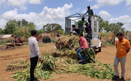 Spreading Compassion